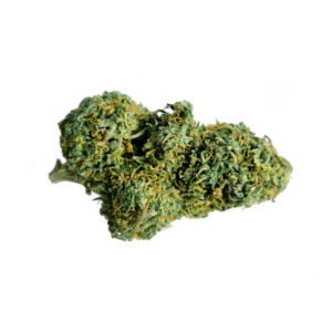 tuna kush cannabis strain