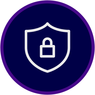 icon privacy