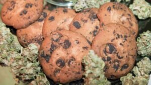 blonde hash the perfect ingredient for infusions and edibles