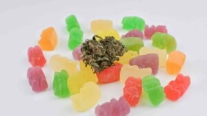 a taste test salty vs sweet weed edibles in brantford