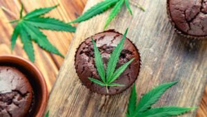 sarnias edibles 101 the easiest recipes for beginners